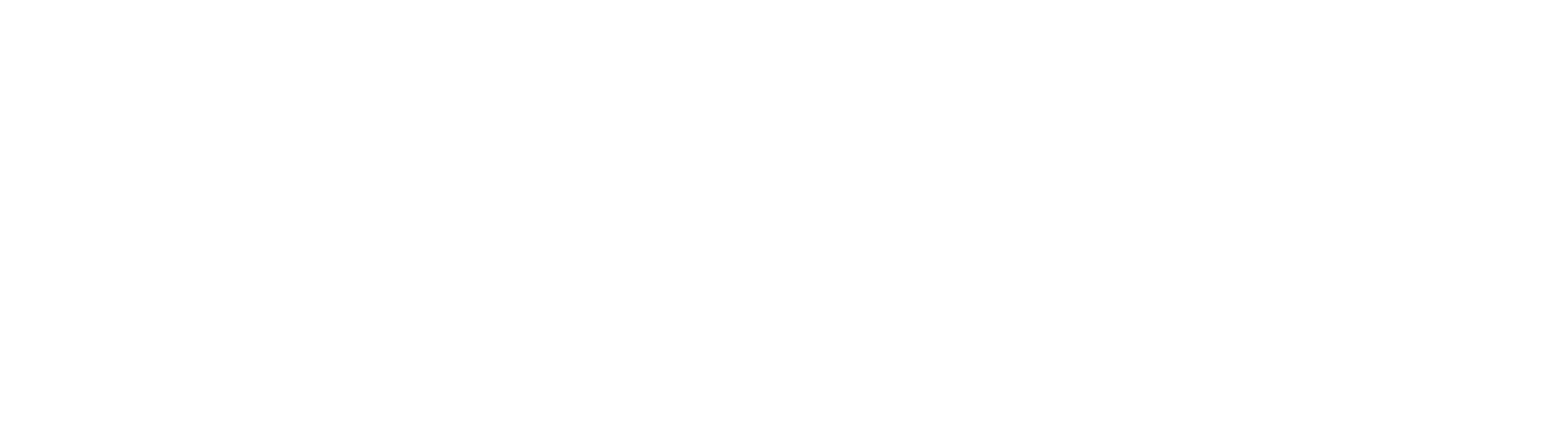Instanbul Logo white